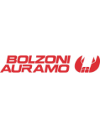 Bolzoni